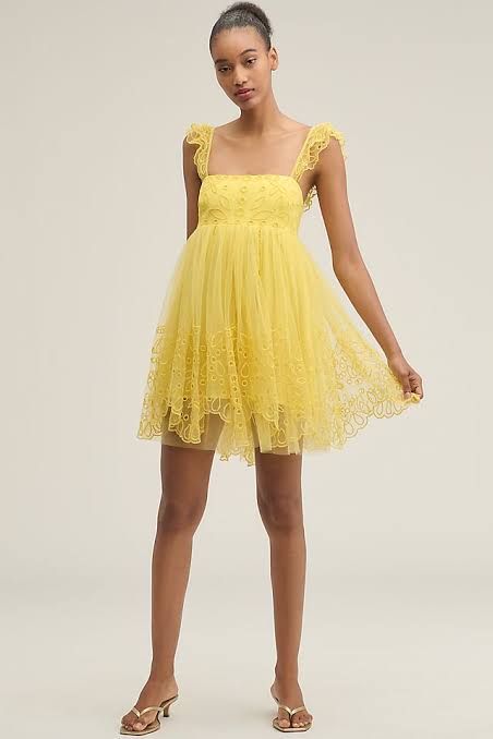 Let Me Be Eyelet Tulle Mini Dress XS