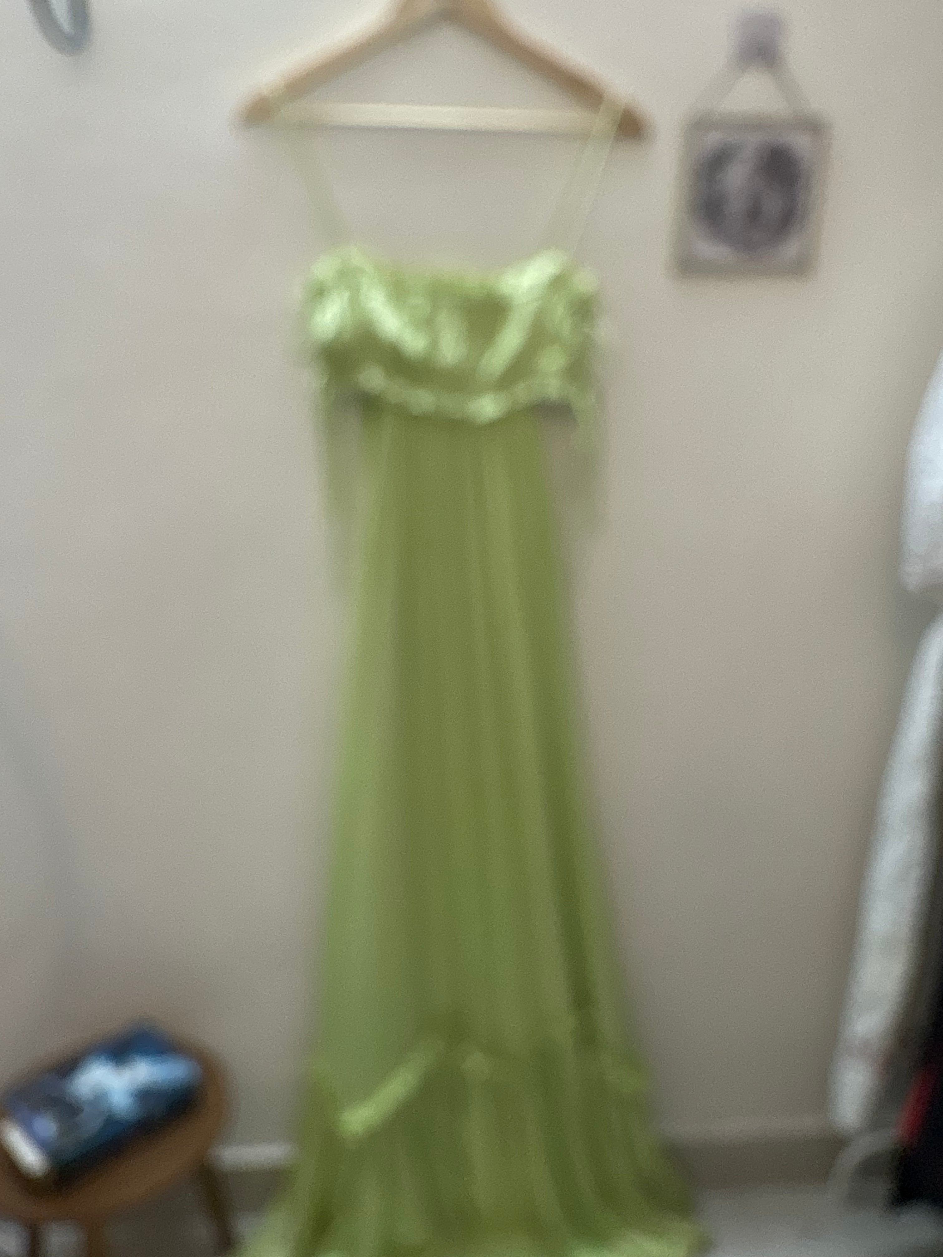 MAGNOLIA GREEN DRESS S/M