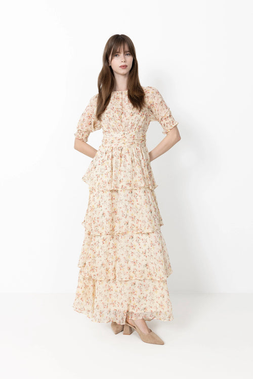 Neo Noir Sable Meadow Printed Dress