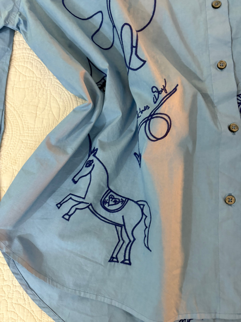 Blue embroidered shirt