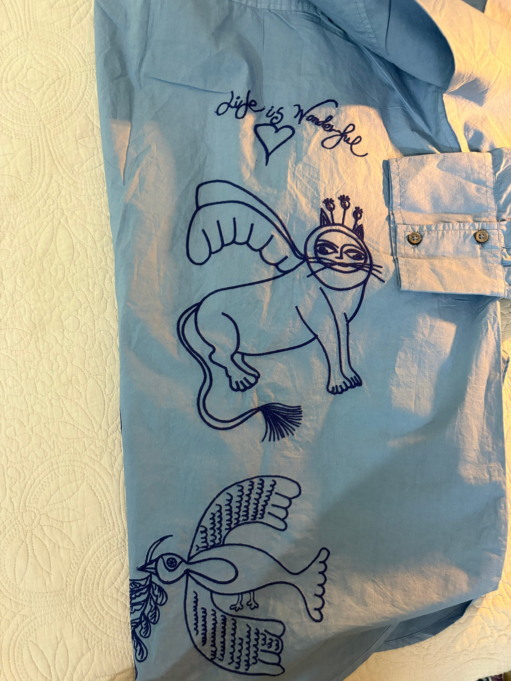 Blue embroidered shirt