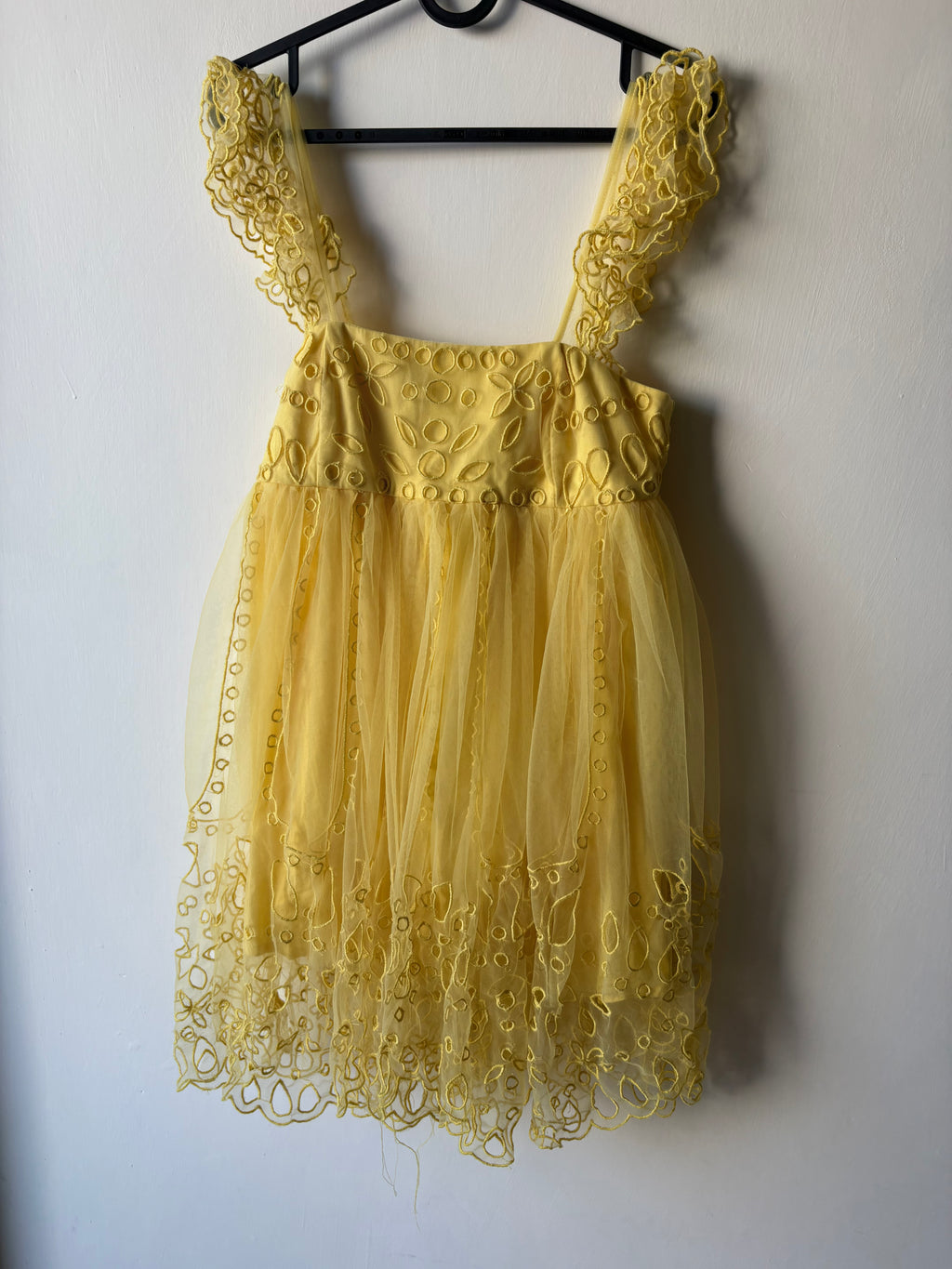 Let Me Be Eyelet Tulle Mini Dress XS